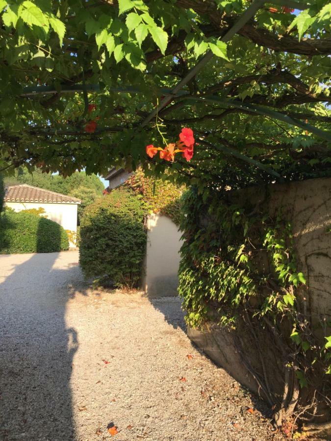 Villa Le Mazet De Lola Saint-Rémy-de-Provence Exterior foto